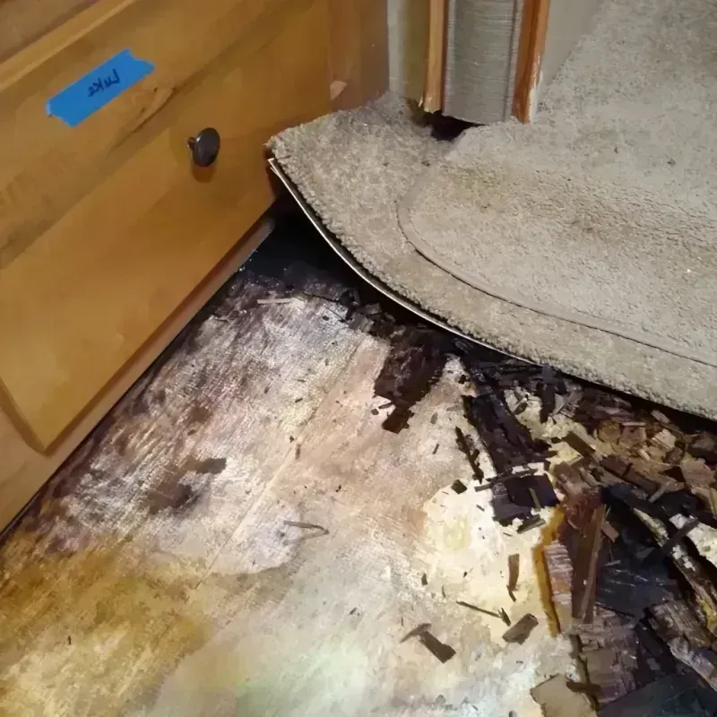 Best Wood Floor Water Damage Service in Sanford, ME